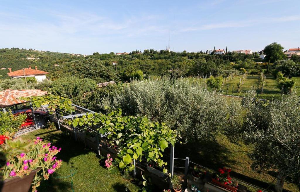 Appartamento Apartmaji Neja Pirano Esterno foto